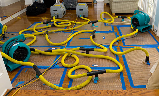 Professional Sewage Cleanup technician working in Cross Plains, WI